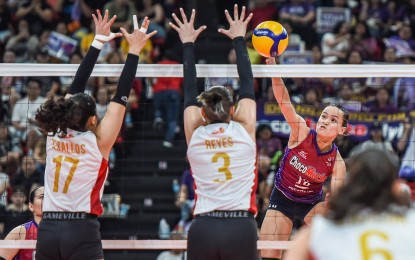 <p><strong>STANDOUT.</strong> Choco Mucho's Sisi Rondina (No. 18) tries to score against PLDT's Fiola Mae Ceballos (No. 17) and Mika Reyes (No. 3) during the Premier Volleyball League All-Filipino Conference at the Philsports Arena in Pasig City on March 15, 2025. Rondina sizzled with 31 points as the Flying Titans won, 20-25, 19-25, 25-15, 25-20, 18-16. <em>(PVL photo)</em></p>