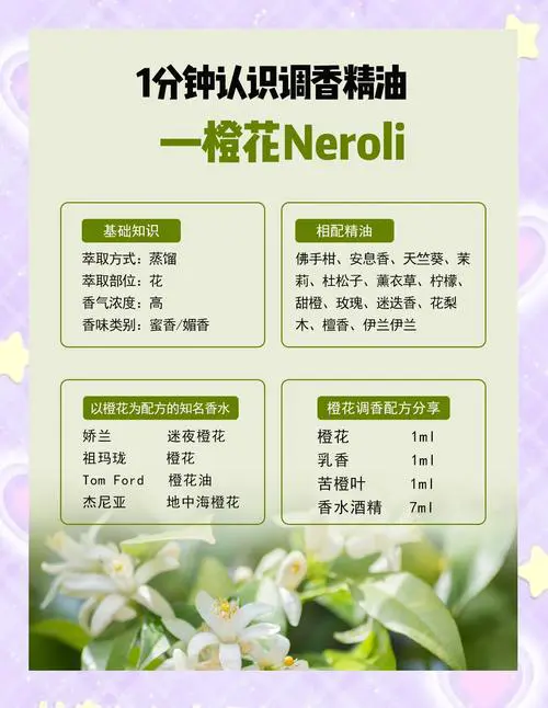 甜橙欧薄荷天竺葵薰衣草这些精油怎么搭配呢