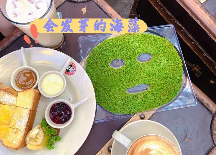 祛痘用海藻面膜怎么样