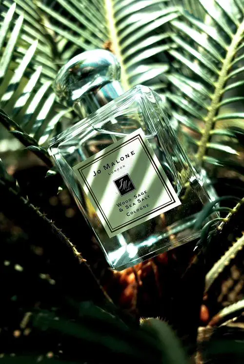 什么香水比较香