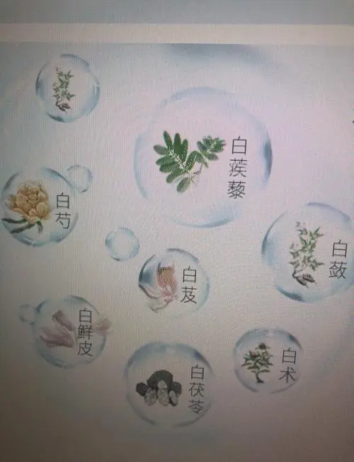 佰草集水润面膜怎么样