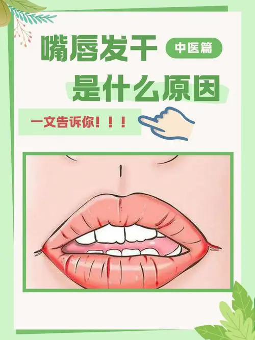 口唇干是什么原因