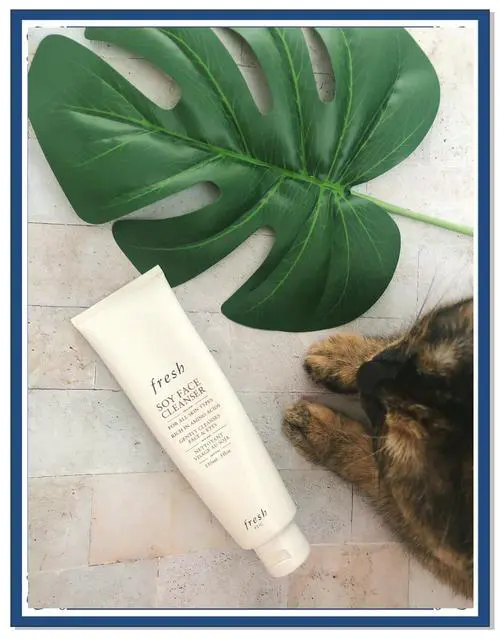 fresh大豆洗面奶怎么用