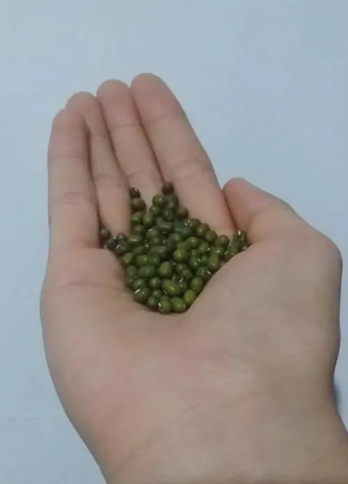 痘痘肌用绿豆面膜怎么样