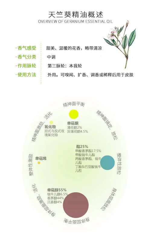 甜橙欧薄荷天竺葵薰衣草这些精油怎么搭配呢