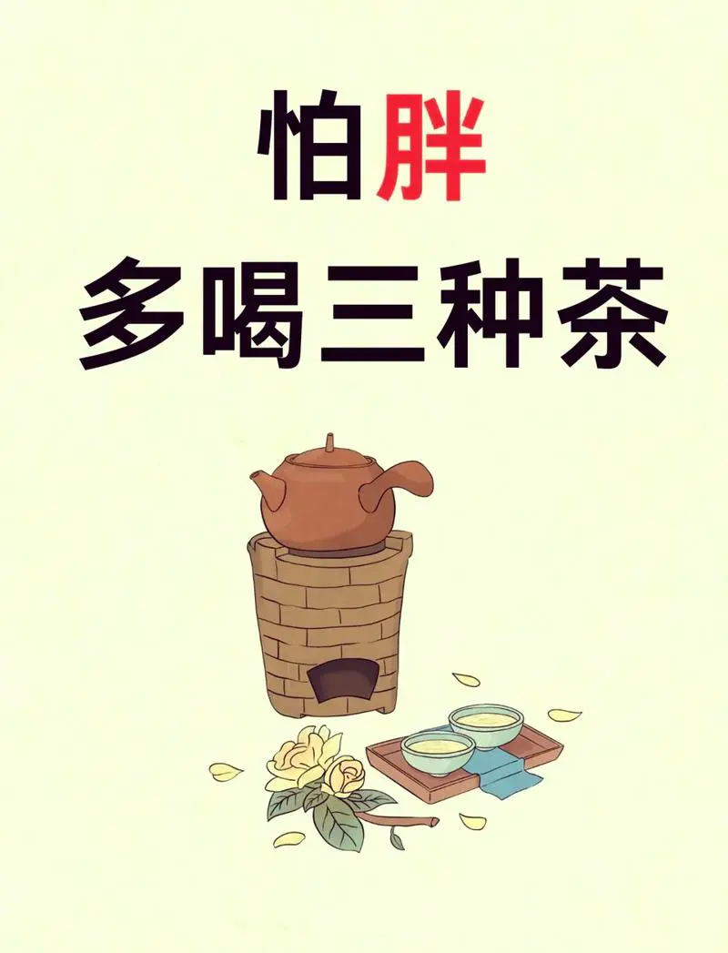 减肥人秋冬喝什么茶