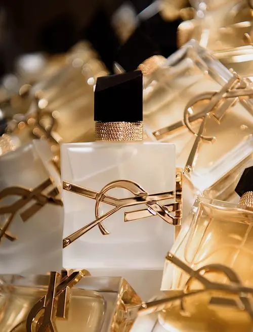 伊夫圣罗兰男香最新款