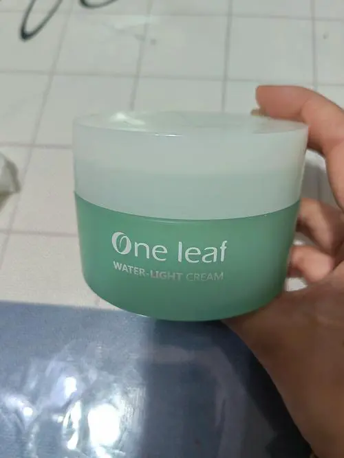 一叶子面霜最新款