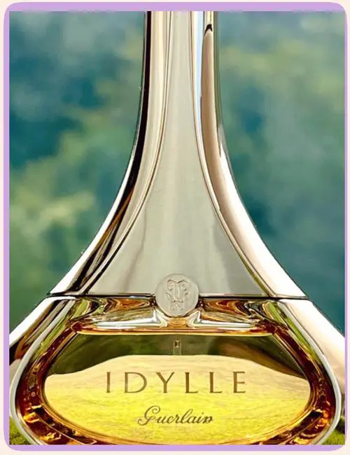 娇兰爱朵最新版本