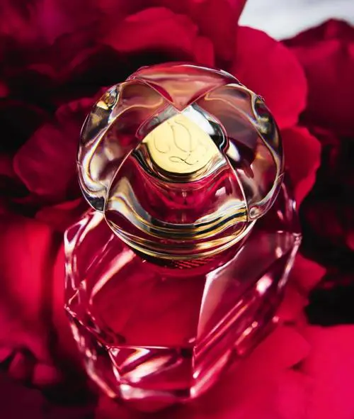 安吉丽娜茱莉最新香水