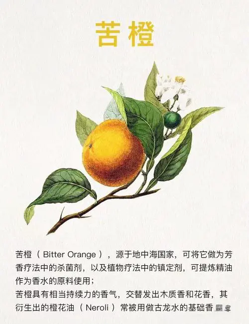 欧珑最新款香水价格