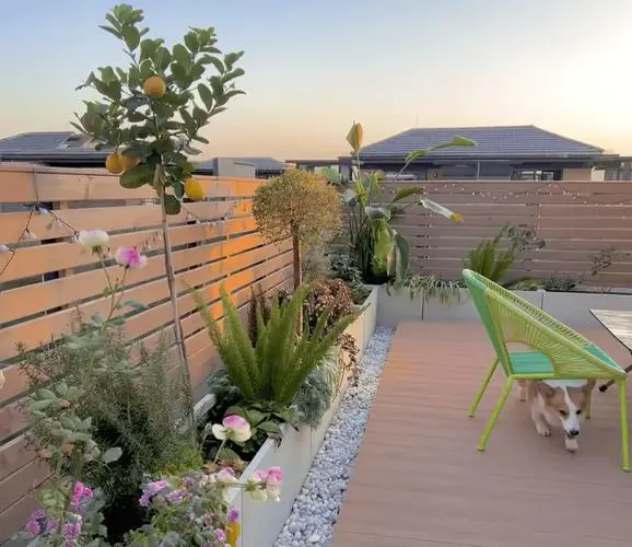 最新楼顶围墙的设计图片