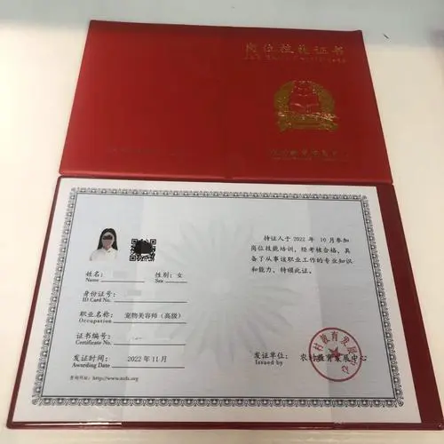 美容证书最新版本