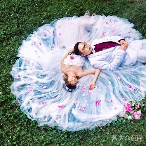 大庆薇薇新娘最新进展