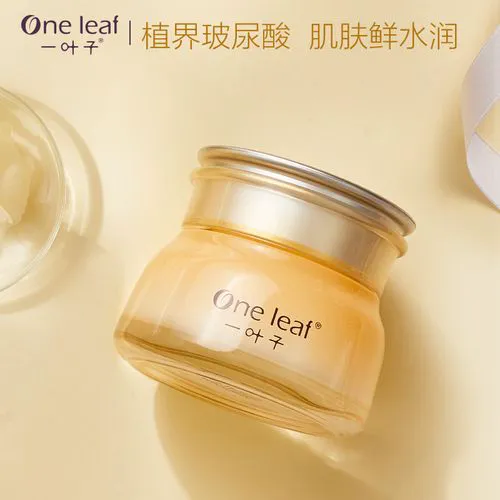 一叶子面霜最新款