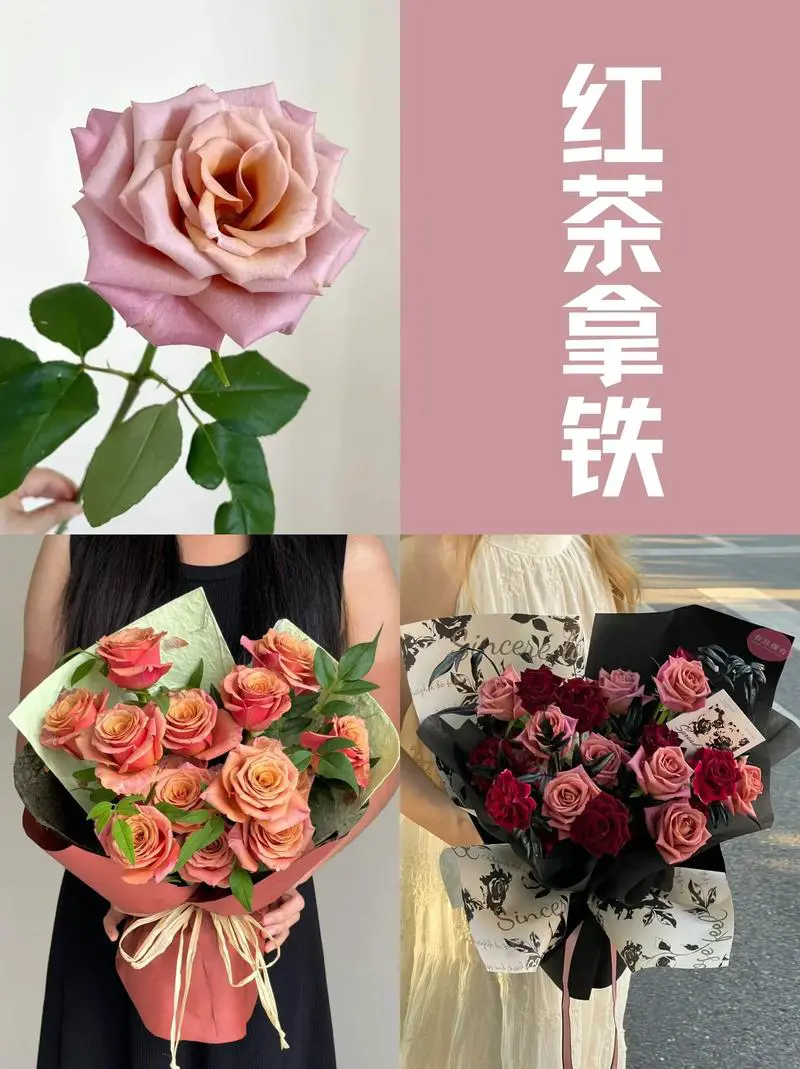 玫瑰颜色怎么搭配