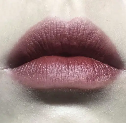 得鲜口红最新版本