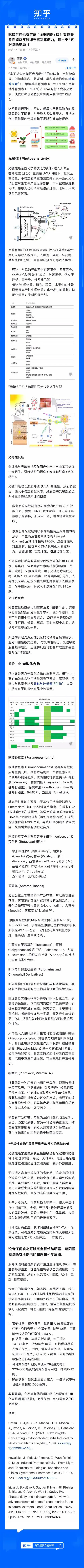 Skinfood五味子最新消息