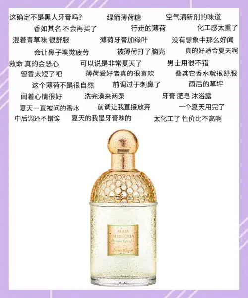 娇兰最新香水价格表