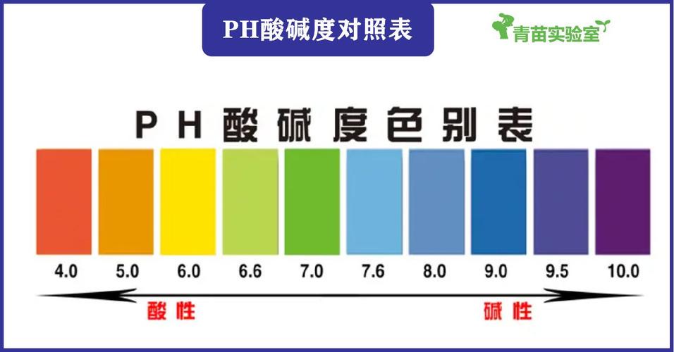 洗面奶ph值怎么分辨