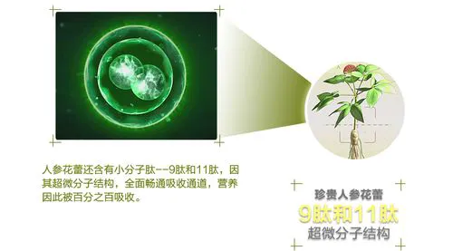 波比爱的洗面奶怎么样