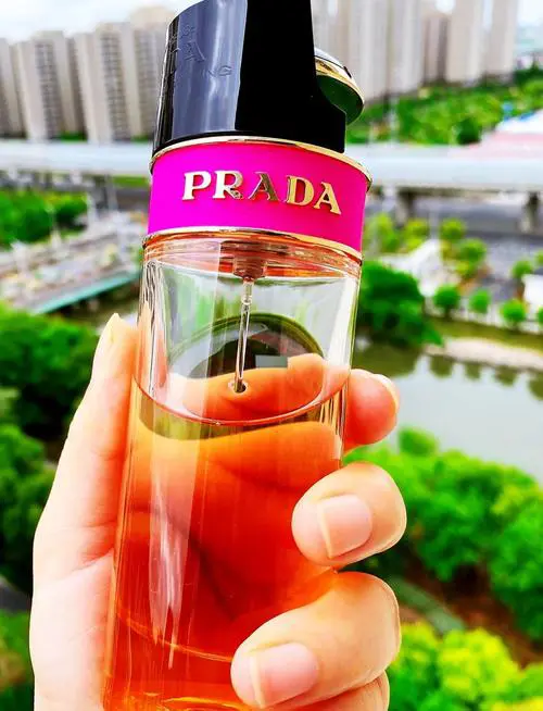 普拉达最新款香水报价