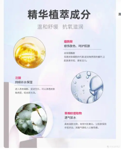 最新款菲诗小铺隔离