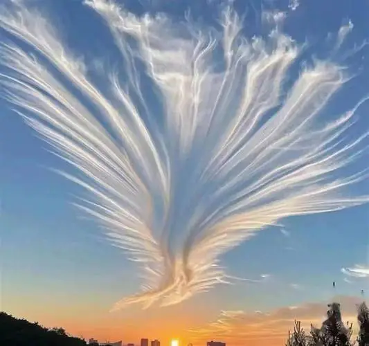 最新九朵云很稀吗