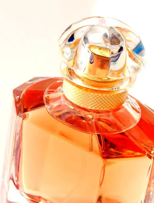 法国娇兰最新款香水