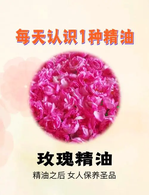 玫瑰精油有什么作用