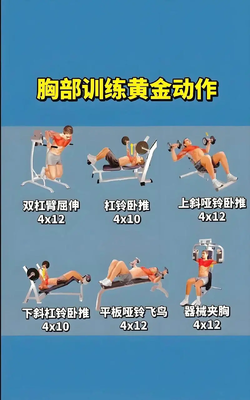 做什么运动晚上能减肥图片