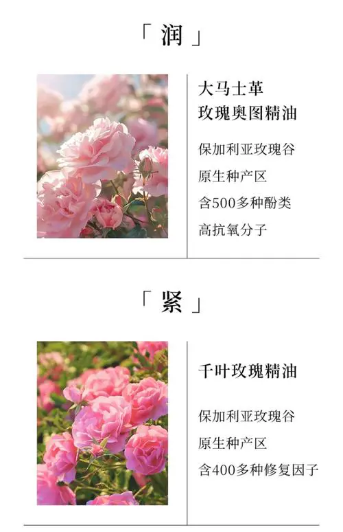 玫瑰精油有什么作用