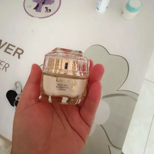 雪颜是什么意思