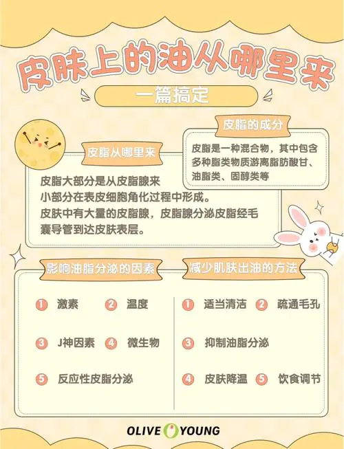 容易出油是什么原因