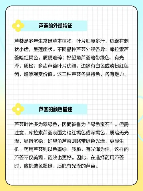 芦荟有什么特点