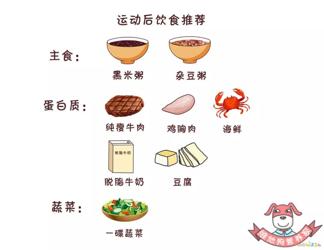 蛋白粉运动前喝还是运动后喝好_蛋白粉应该运动前喝_运动前喝蛋白粉