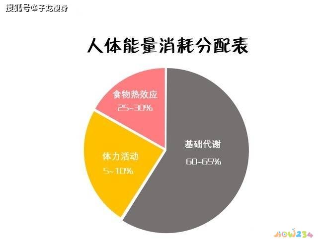 塑型运动跟减肥的区别_减肥和塑型哪个重要_减脂与运动塑形