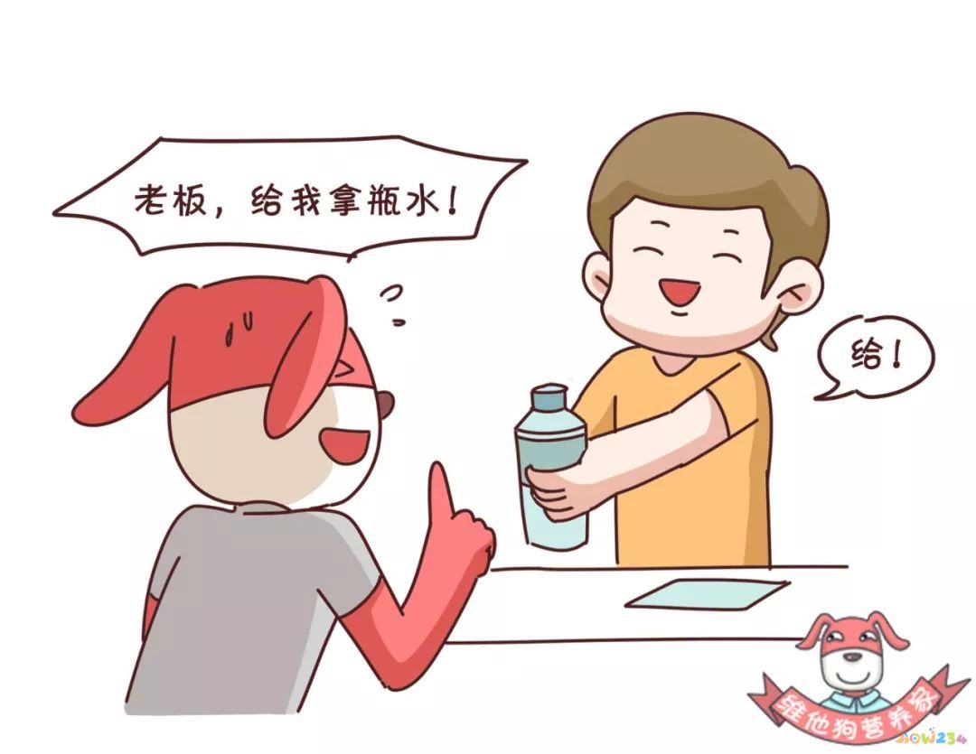 蛋白粉运动前喝还是运动后喝好_运动前喝蛋白粉_蛋白粉应该运动前喝