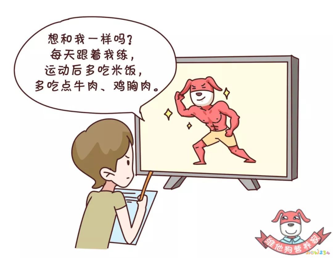 蛋白粉应该运动前喝_蛋白粉运动前喝还是运动后喝好_运动前喝蛋白粉