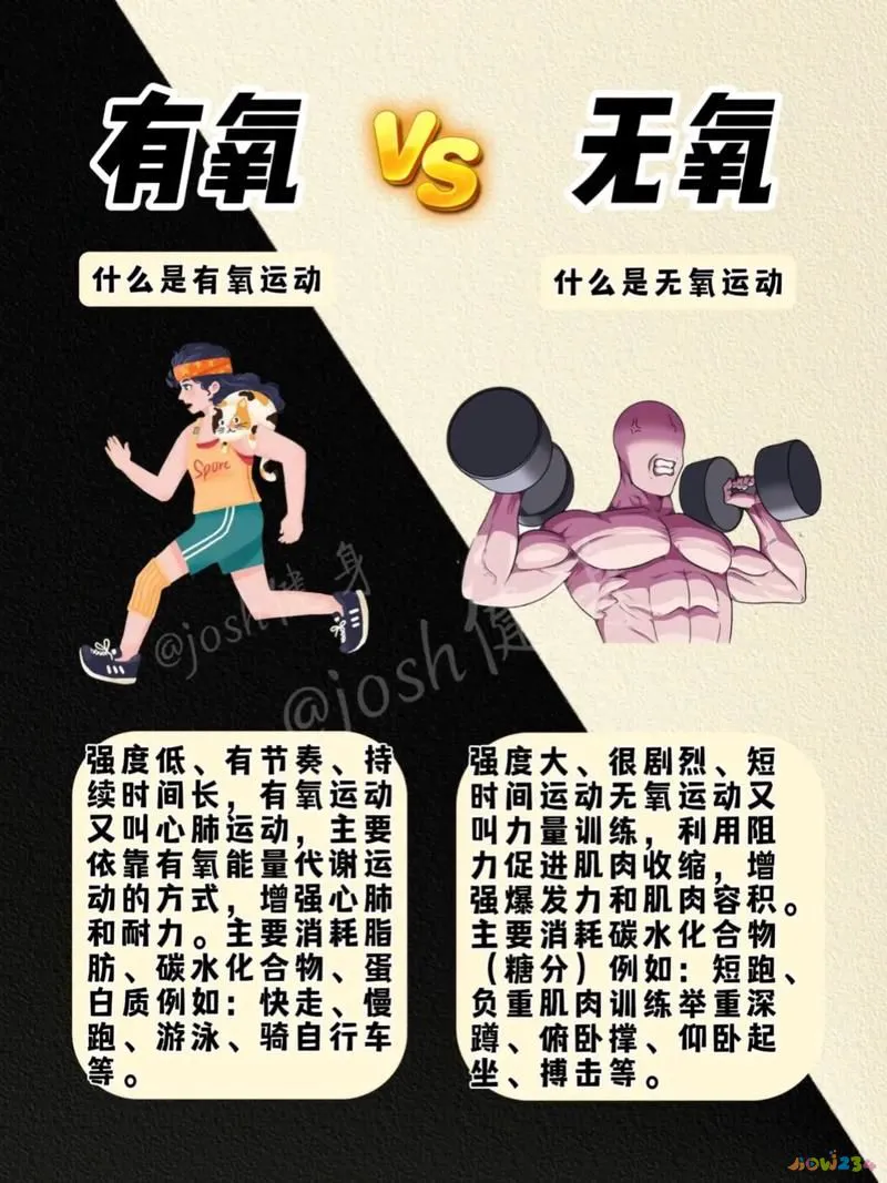 为什么有氧运动能减肥_运动吸氧减肥_有氧动力