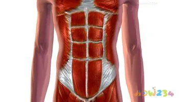 腰拉伸运动图解_瘦腰运动图解_瘦小腿运动图解