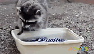 减肥能运动吗_怎样不运动也能减肥_减肥能运动吗女生