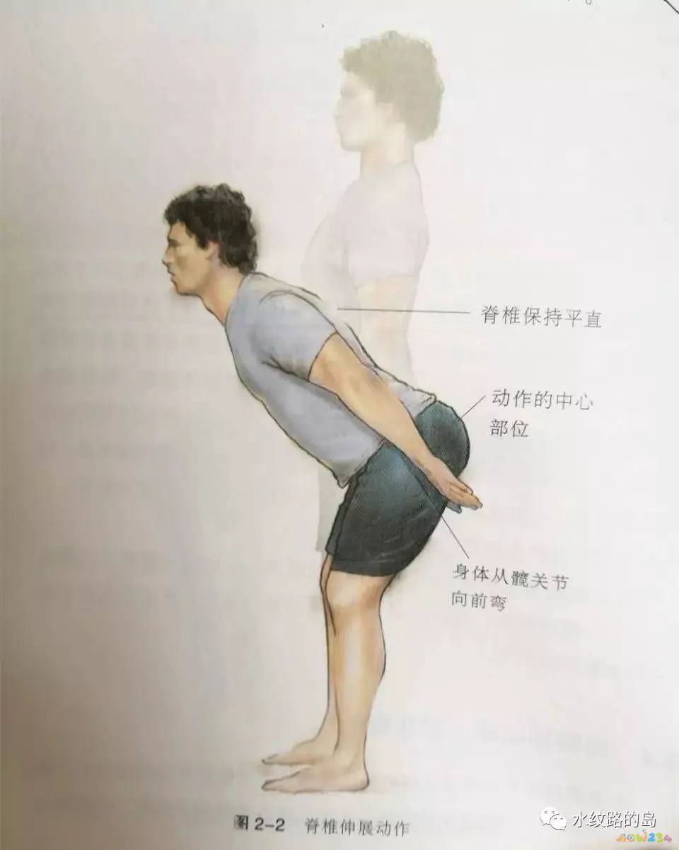 腰疼做什么运动动作图_腰疼运动操作视频_腰痛锻炼动作