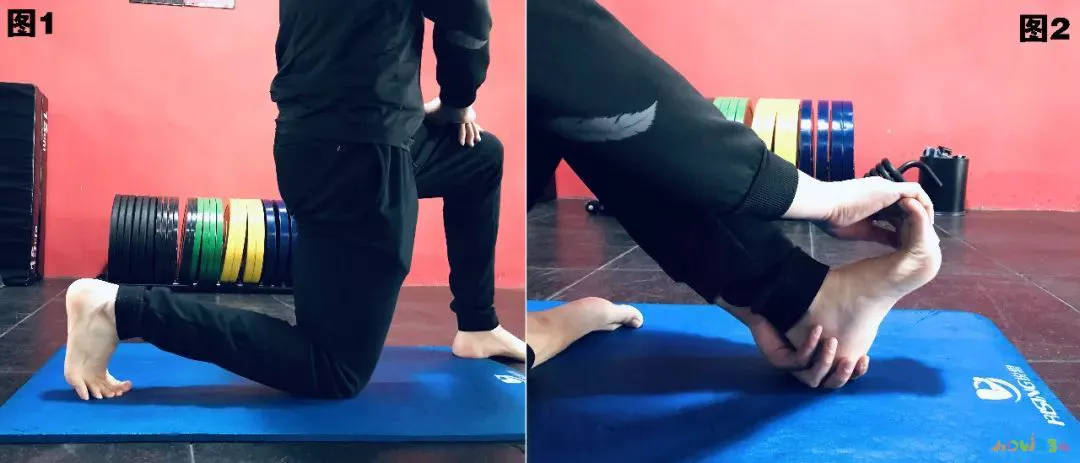 拉伸运动正确做法视频_拉伸运动长高正确做法_拉伸运动