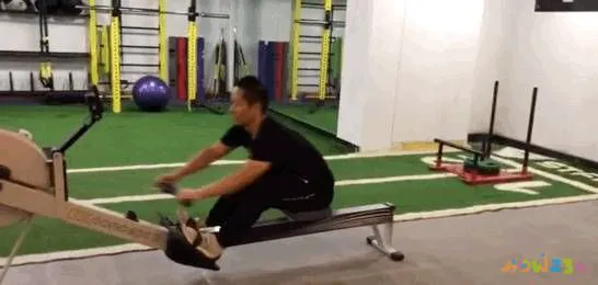 健身房运动机械_健身的机械动作名称大全_健身房机械的使用方法