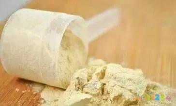 蛋白粉可以运动时喝吗_少量运动喝蛋白粉_单纯喝蛋白粉运动少 能减脂吗