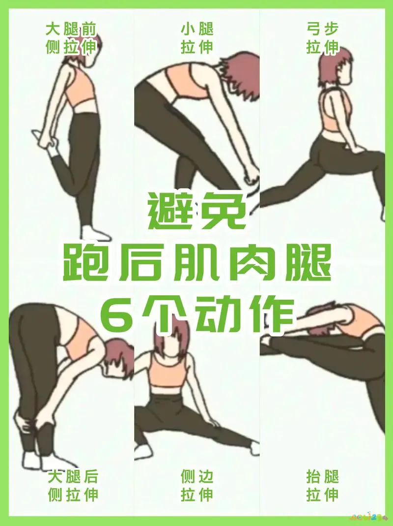 有氧运动能使腿_什么运动能快速瘦腰_什么运动能尽快瘦腰肚子大腿