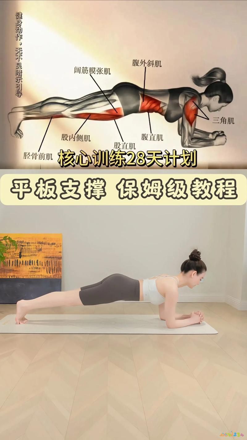 卷腹运动和仰卧起坐_仰卧起坐卷腹的正确做法图示_坐仰卧运动起卷腹可以吗