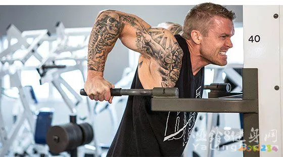 生活委的竞选稿_诚成教育至金品质卷子的名字_瘦子健身是有氧运动