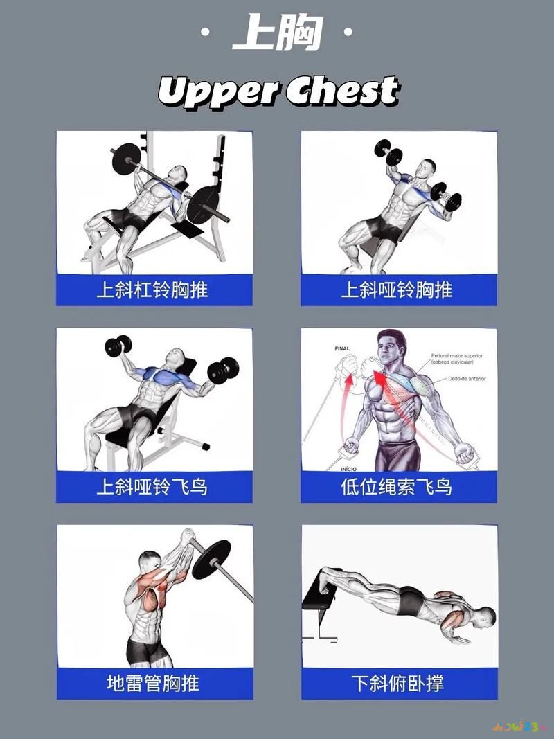 怎么减胸_减胸的运动_如何减胸